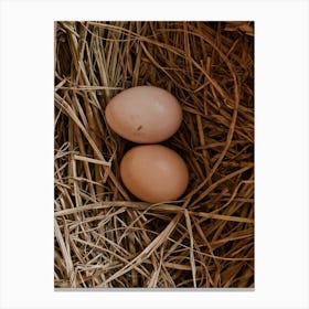 Two Eggs In A Nest Canvas Print