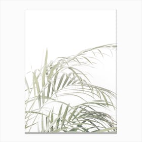 Leafy Fern Canvas Print