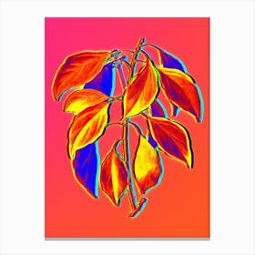 Neon Camphor Tree Botanical in Hot Pink and Electric Blue n.0506 Canvas Print
