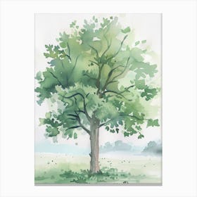 Lime Tree Atmospheric Watercolour Painting 4 Canvas Print