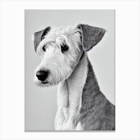 Bedlington Terrier B&W Pencil dog Canvas Print