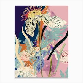 Colourful Flower Illustration Queen Annes Lace 2 Canvas Print