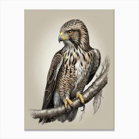 Hawk wk Canvas Print