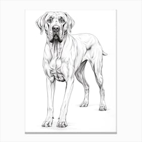 Great Dane Dog, Line Drawing 1 Canvas Print