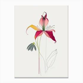 Columbine Floral Minimal Line Drawing 1 Flower Canvas Print