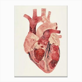 Human Heart Canvas Print