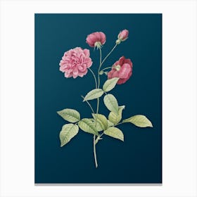 Vintage China Rose Botanical Art on Teal Blue n.0679 Canvas Print