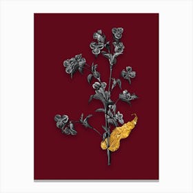 Vintage Commelina Tuberosa Black and White Gold Leaf Floral Art on Burgundy Red n.0391 Canvas Print