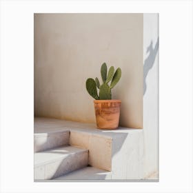 Mallorca Architecture - street photography Spain, cactus on the Balearics Canvas Print