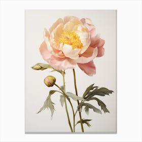 Pressed Flower Botanical Art Peony 1 Canvas Print