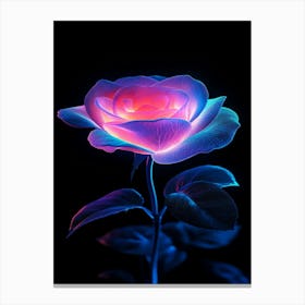 Rose In The Dark 1 Canvas Print