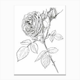 Black And White Rose Line Drawing 9 Canvas Print