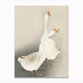 Two Geese 1 Canvas Print