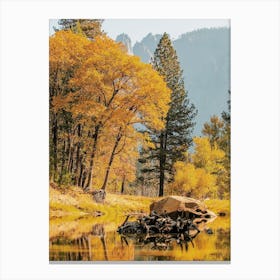 Autumn Forest Creek Canvas Print