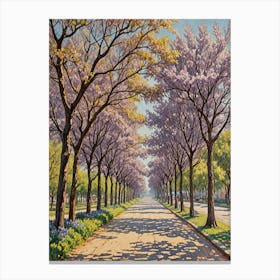 Jacaranda Trees Canvas Print