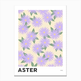 Aster September Birth Flower Canvas Print