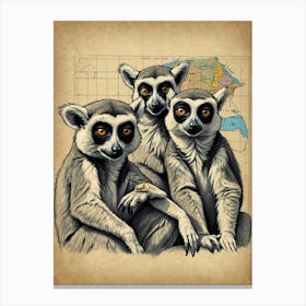 Three Lemurs Canvas Print