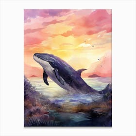 Strap Toothed Whale 1 Canvas Print