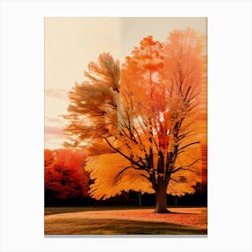 Fall Tree, Grainy, Autumn Collection Canvas Print