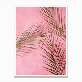 Pink Plants Canvas Print