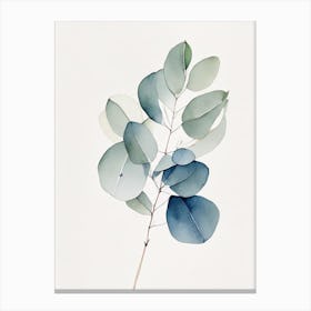 Eucalyptus Herb Minimalist Watercolour 1 Canvas Print