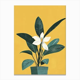 White Flower In A Pot Canvas Print