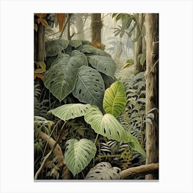 Vintage Jungle Botanical Illustration Monstera 4 Canvas Print
