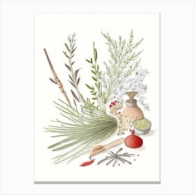 Butcher S Broom Spices And Herbs Pencil Illustration 4 Canvas Print