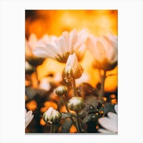 Poster Flower Art Print 19 Canvas Print