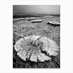 Salt Of The Earth Landscape In The Desert In Ethiopia Canvas Print