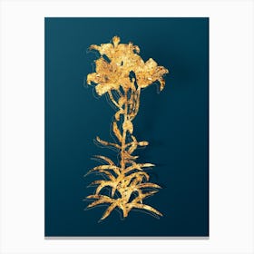 Vintage Fire Lily Botanical in Gold on Teal Blue n.0139 Canvas Print