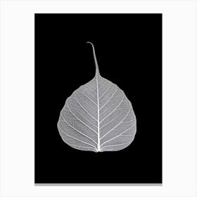 Veins Of Life 2 White Leaf Canvas Print