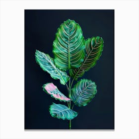 Fern Leaves Canvas Print