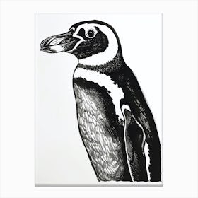 African Penguin Staring Curiously 1 Canvas Print