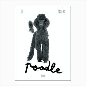 Poodle - Dog - French - Typography - Art Print - Retro - Canine - White & Black - Minimalist  Canvas Print