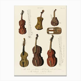 Stringed Instruments Canvas Print