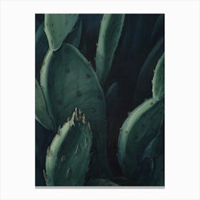 Floral Cactus Wall Art Print Canvas Print