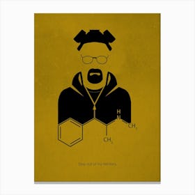 Breaking Bad 24 Canvas Print