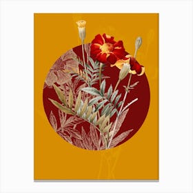 Vintage Botanical Mexican Marigold Oeillet d'Inde on Circle Red on Yellow n.0047 Canvas Print