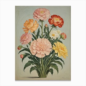 Carnations Canvas Print