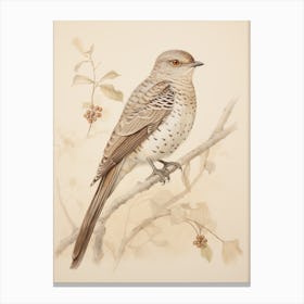 Vintage Bird Drawing Cuckoo 1 Canvas Print