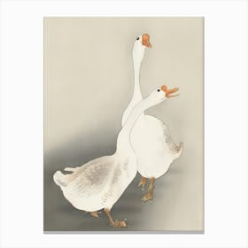 Two Geese Canvas Print