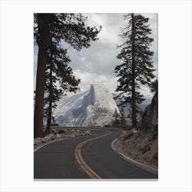 Yosemite Forest Road Canvas Print