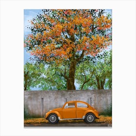 The Abandoned Car Canvas Print