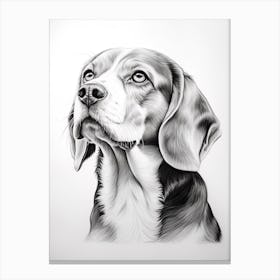 Beagle Dog, Line Drawing 4 Canvas Print