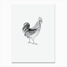 Rooster B&W Pencil Drawing 4 Bird Canvas Print