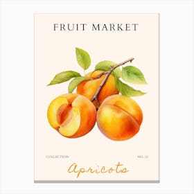 Apricots Canvas Print