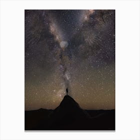 Lone Eagle Galaxy Canvas Print