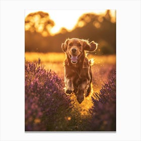 Golden Retriever In Lavender Field. Generated AI. Art Print Canvas Print