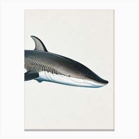 Greenland Shark 2 Vintage Canvas Print
